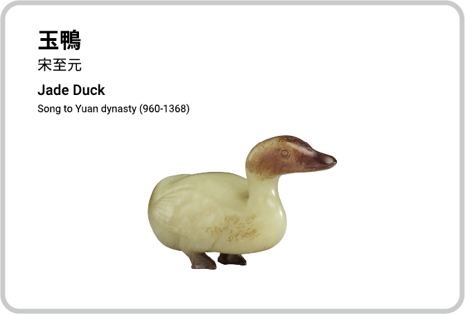 玉鴨
